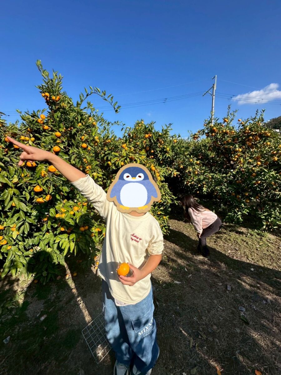11月15日（土）、みかん狩りに行ってきました！