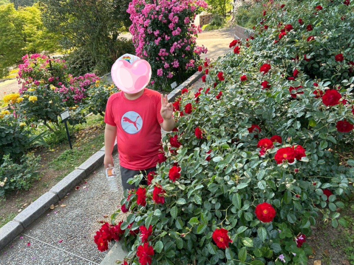 5月16日（土）、岩出市の和歌山県植物公園緑化センターに行ってきました！