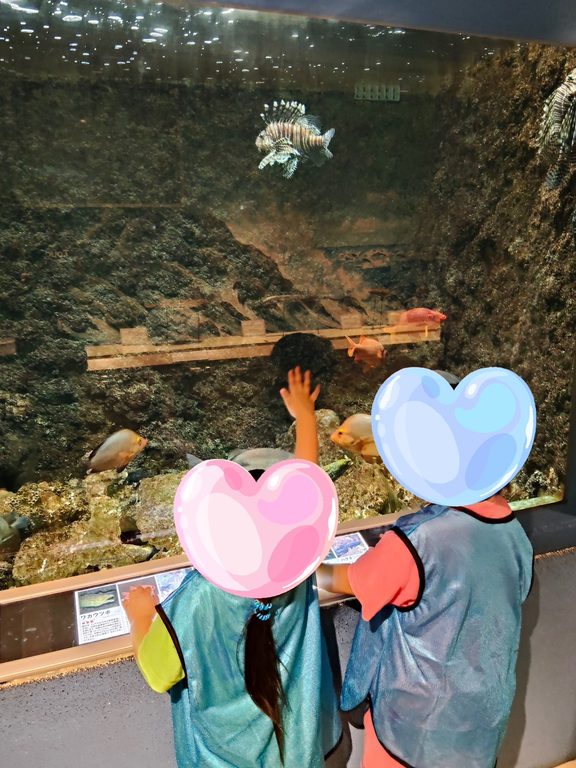 ９月19日（土）、和歌山県立自然博物館に行ってきました！